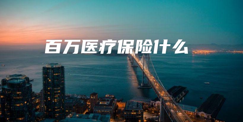 百万医疗保险什么-保点通