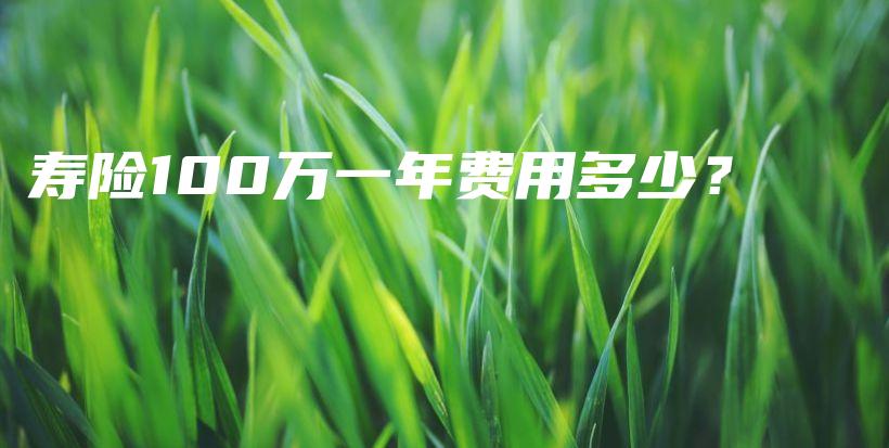 寿险100万一年费用多少？-保点通
