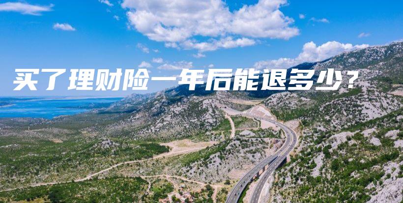 买了理财险一年后能退多少？-保点通