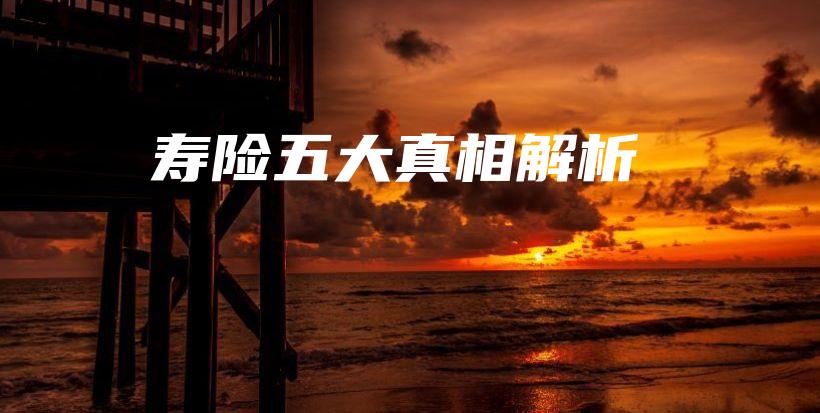 寿险五大真相解析-保点通