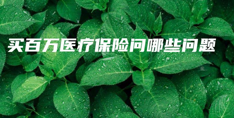 买百万医疗保险问哪些问题-保点通