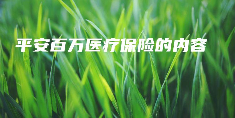 平安百万医疗保险的内容-保点通