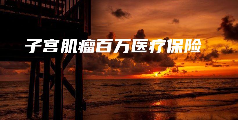 子宫肌瘤百万医疗保险-保点通