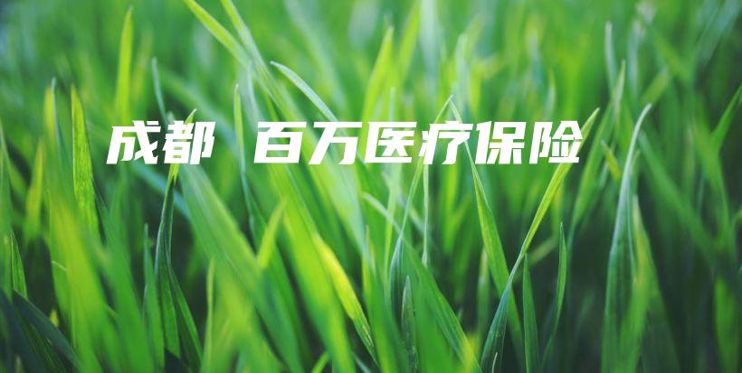 成都 百万医疗保险-保点通