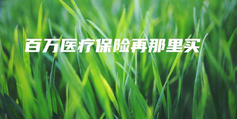 百万医疗保险再那里买-保点通