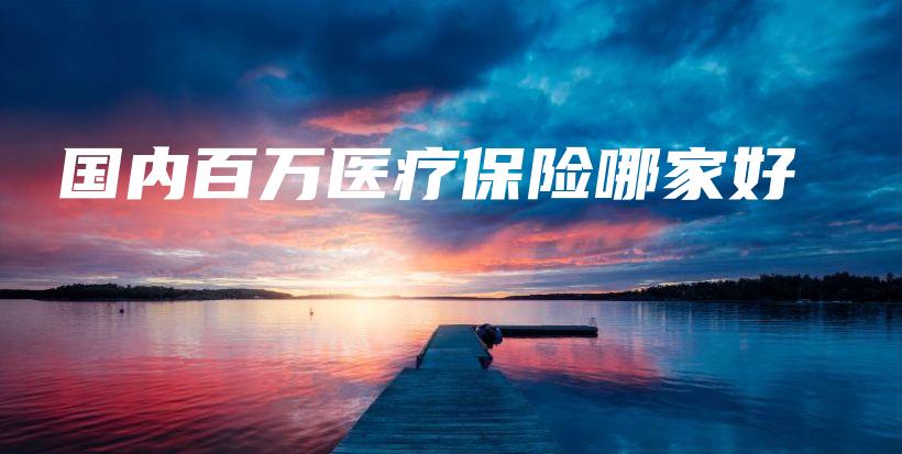 国内百万医疗保险哪家好-保点通
