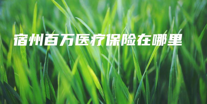 宿州百万医疗保险在哪里插图 宿州百万医疗保险在哪里插图
