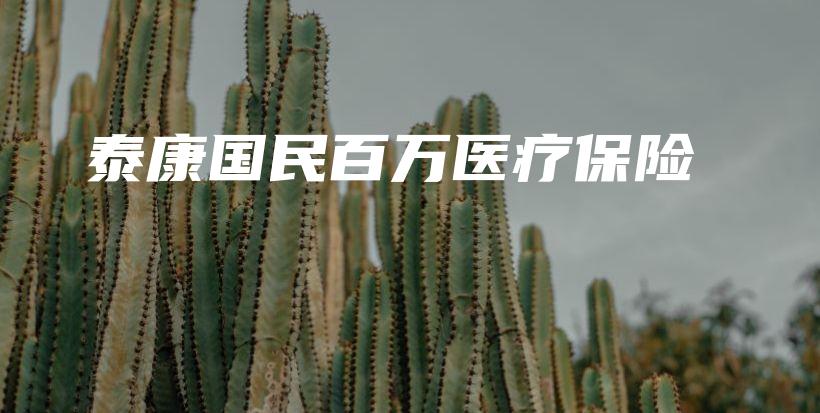 泰康国民百万医疗保险-保点通