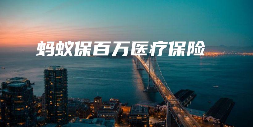 蚂蚁保百万医疗保险-保点通