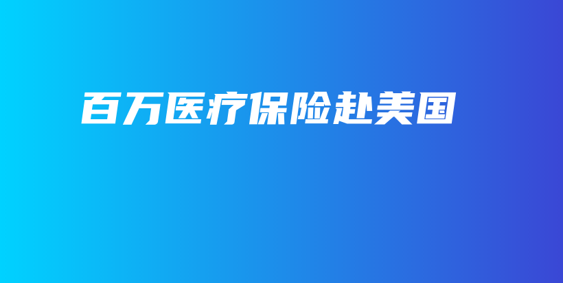 百万医疗保险赴美国-保点通
