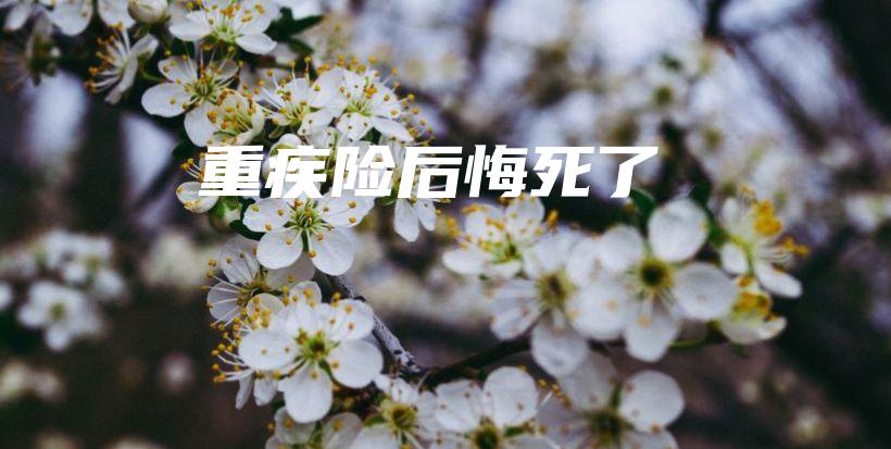 重疾险后悔死了-保点通