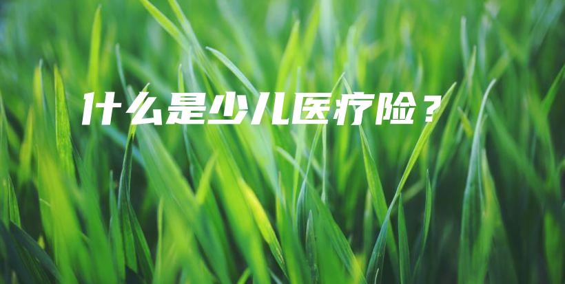 什么是少儿医疗险？-保点通