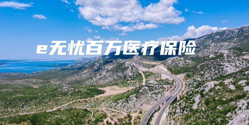 e无忧百万医疗保险-保点通