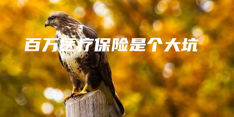 百万医疗保险是个大坑-保点通