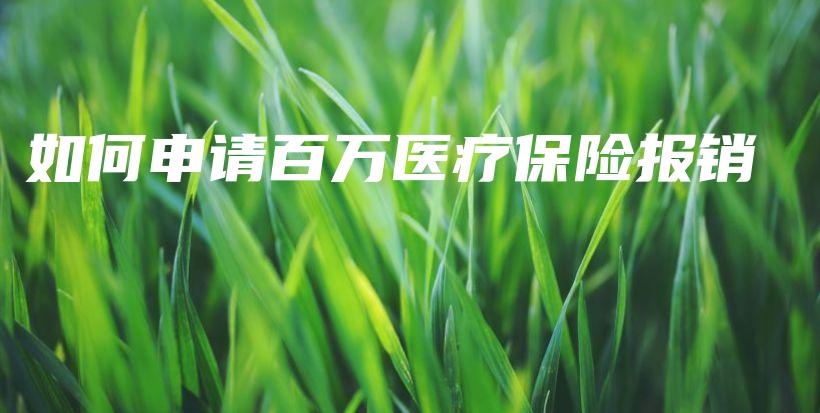 如何申请百万医疗保险报销-保点通
