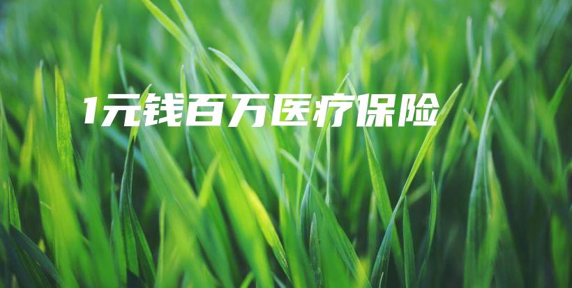 1元钱百万医疗保险-保点通