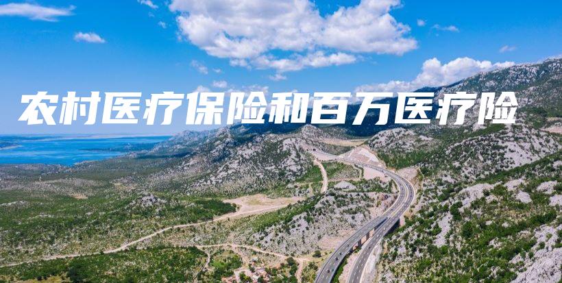 农村医疗保险和百万医疗险-保点通