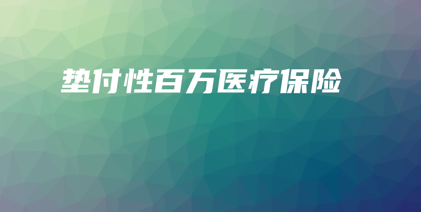 垫付性百万医疗保险-保点通
