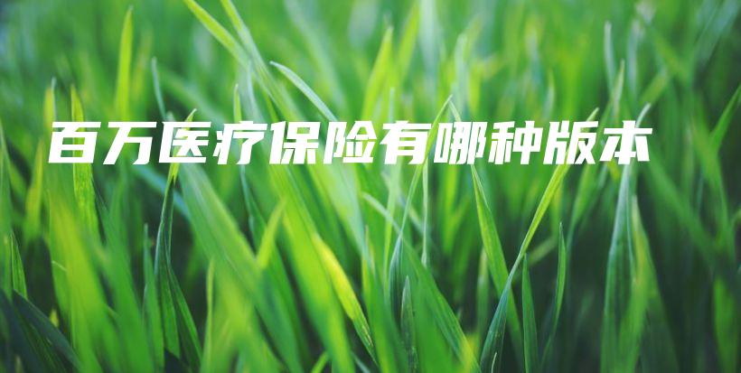 百万医疗保险有哪种版本-保点通
