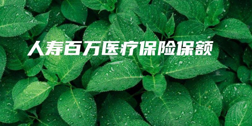 人寿百万医疗保险保额-保点通