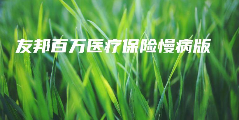 友邦百万医疗保险慢病版-保点通