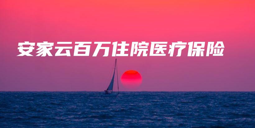 安家云百万住院医疗保险-保点通