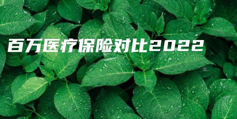 百万医疗保险对比2022-保点通