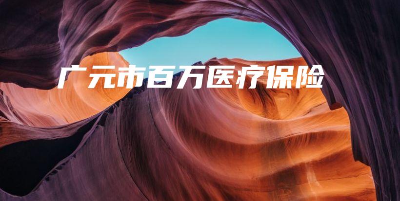 广元市百万医疗保险-保点通