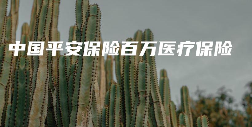 中国平安保险百万医疗保险-保点通