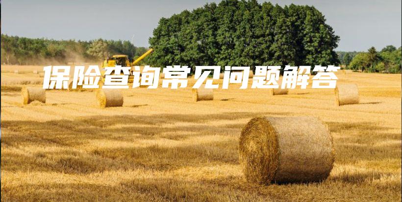 保险查询常见问题解答-保点通