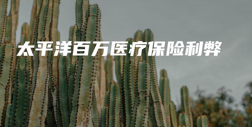 太平洋百万医疗保险利弊-保点通