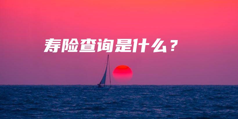 寿险查询是什么？-保点通