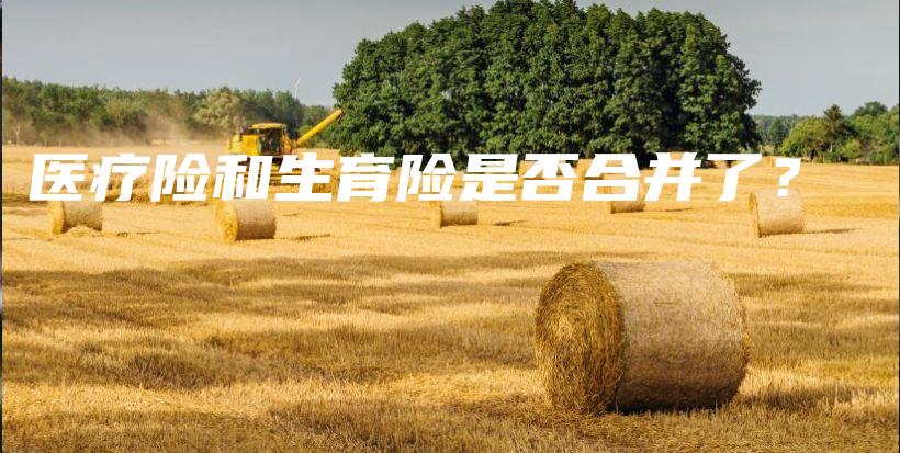医疗险和生育险是否合并了？-保点通