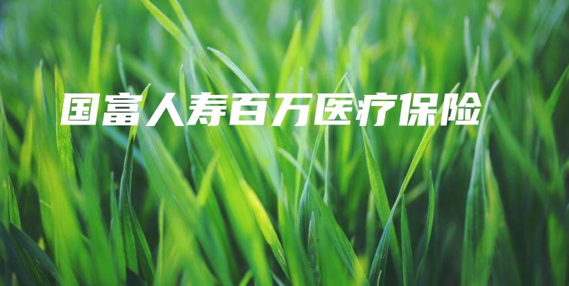 国富人寿百万医疗保险-保点通