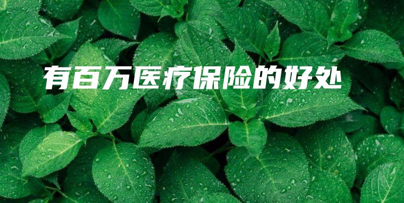 有百万医疗保险的好处-保点通
