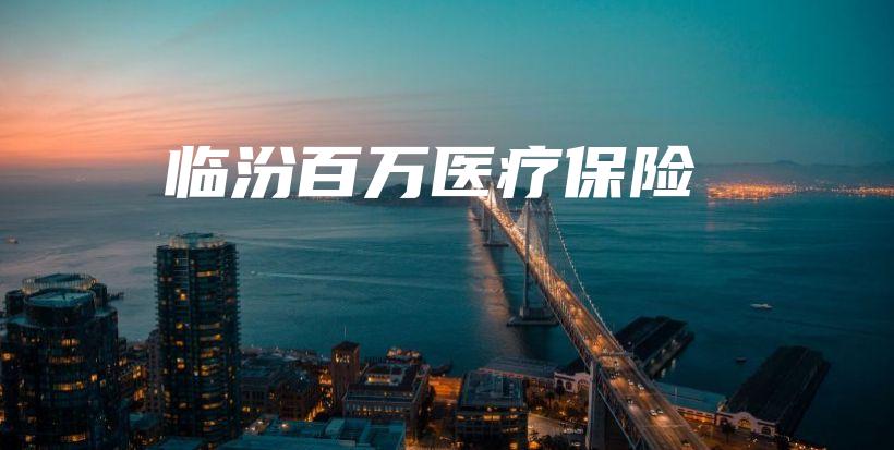 临汾百万医疗保险-保点通
