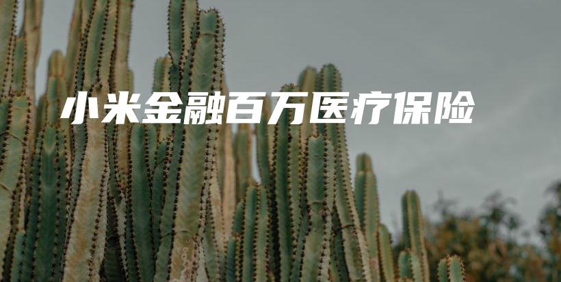 小米金融百万医疗保险-保点通