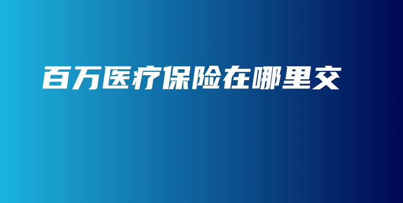 百万医疗保险在哪里交-保点通