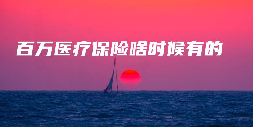 百万医疗保险啥时候有的-保点通