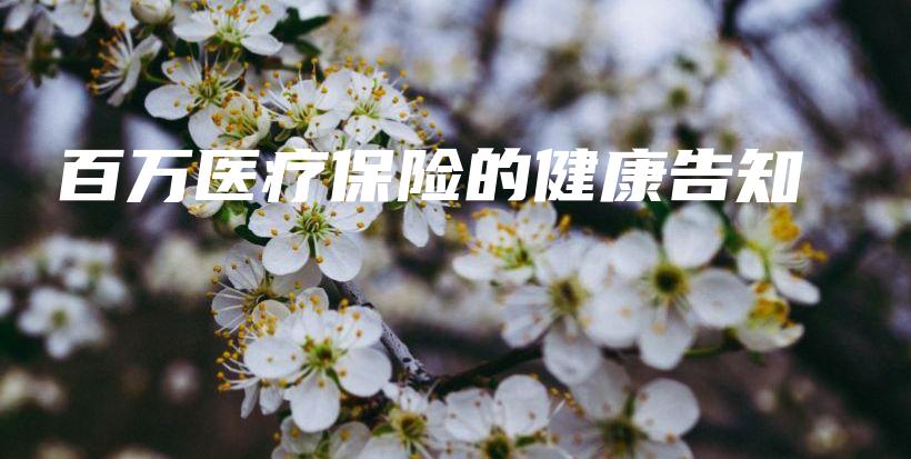 百万医疗保险的健康告知-保点通