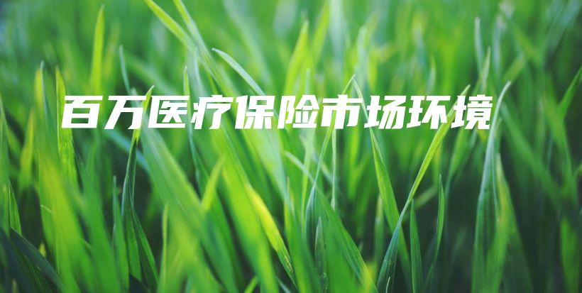 百万医疗保险市场环境-保点通