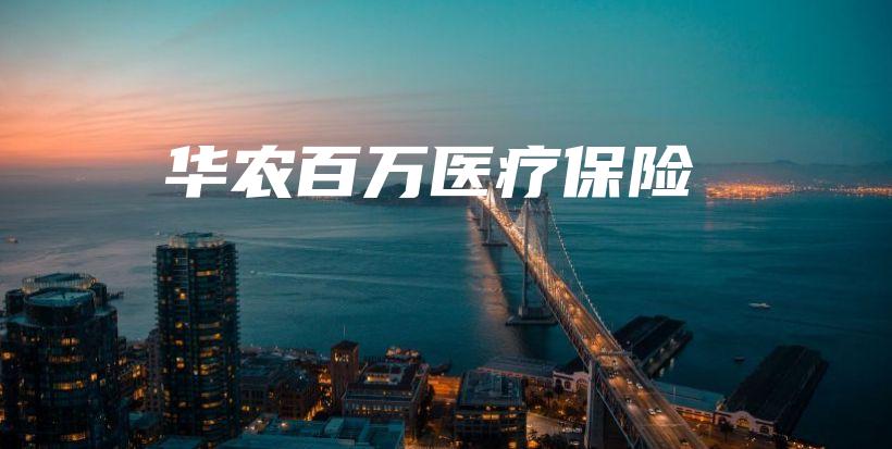 华农百万医疗保险-保点通