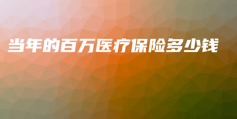 当年的百万医疗保险多少钱-保点通