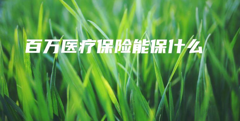 百万医疗保险能保什么-保点通