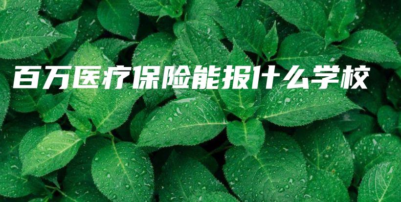 百万医疗保险能报什么学校-保点通