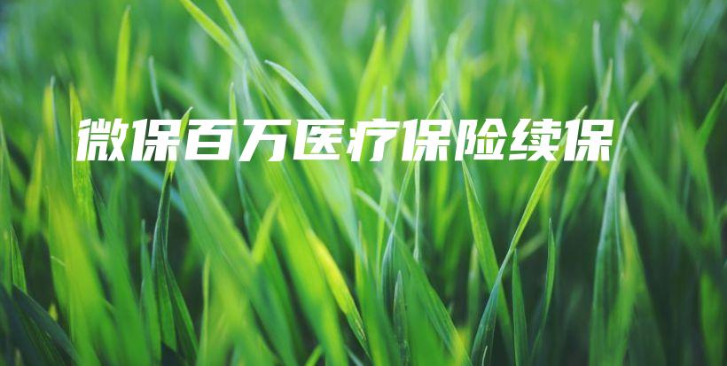微保百万医疗保险续保-保点通