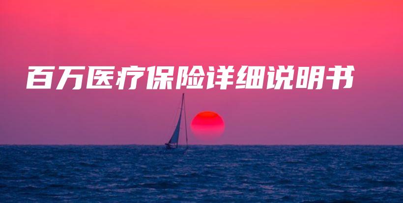 百万医疗保险详细说明书-保点通