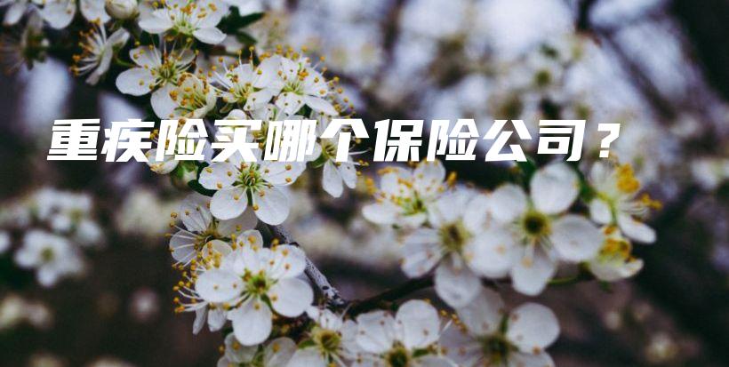重疾险买哪个保险公司？-保点通