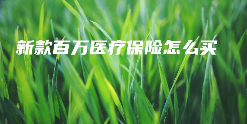 新款百万医疗保险怎么买-保点通