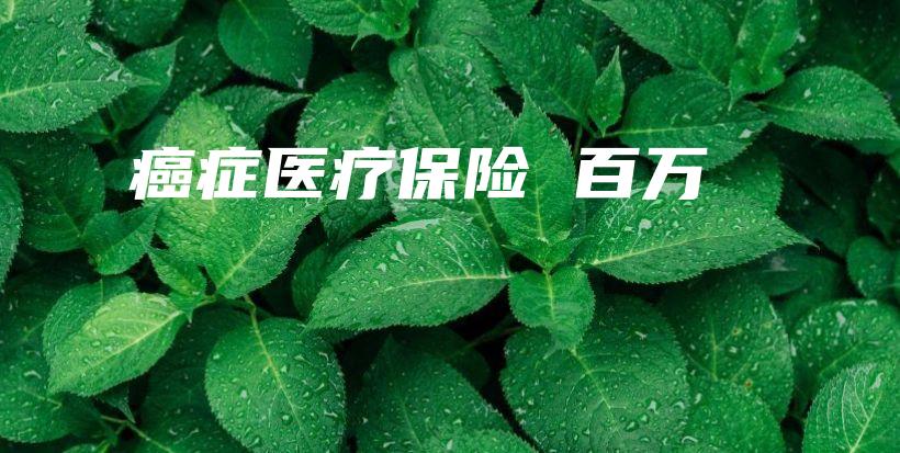 癌症医疗保险 百万-保点通